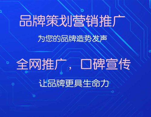 全网内容推广的法律风险与可行性分析