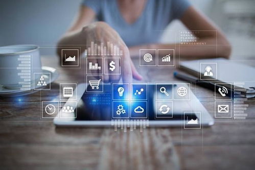 解码数据资产 促进成果对接 环同济校外课堂夏季班聚焦网络技术服务